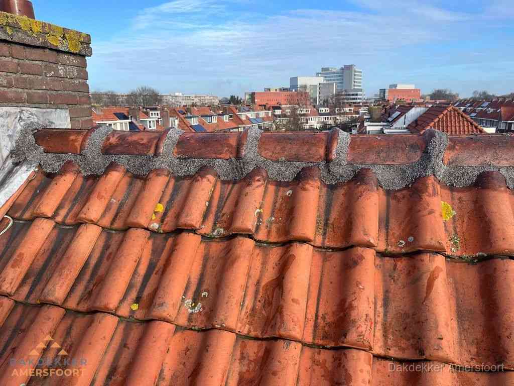 Amersfoort Daken Renoveren Amersfoort Daken Renoveren